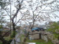  dscf0062.jpg 
