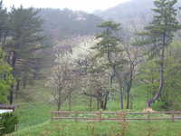  dscf0068.jpg 