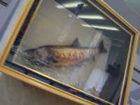  dscf0092.jpg 