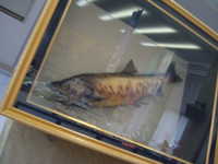  dscf0093.jpg 