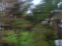  dscf0104.jpg 