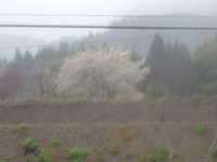  dscf0106.jpg 