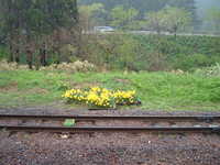  dscf0113.jpg 
