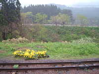  dscf0114.jpg 