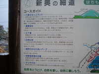  dscf0123.jpg 
