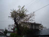  dscf0129.jpg 