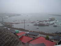  dscf0132.jpg 