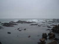  dscf0136.jpg 