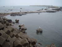  dscf0139.jpg 