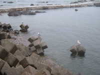  dscf0140.jpg 
