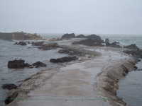  dscf0141.jpg 