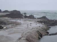  dscf0142.jpg 