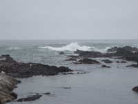  dscf0143.jpg 