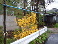  dscf0145.jpg 