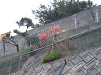  dscf0146.jpg 