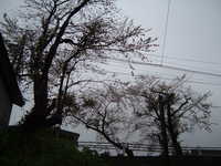  dscf0147.jpg 