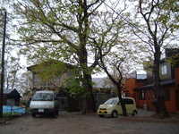  dscf0150.jpg 