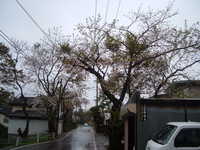  dscf0153.jpg 
