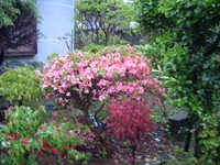  dscf0159.jpg 