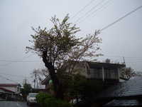  dscf0160.jpg 