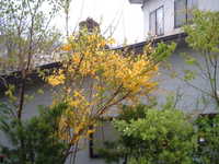  dscf0164.jpg 