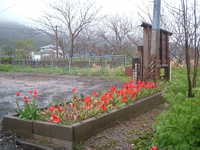  dscf0165.jpg 