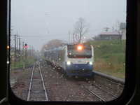  dscf0174.jpg 