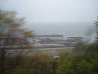  dscf0182.jpg 
