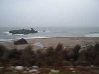  dscf0195.jpg 