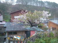  dscf0198.jpg 