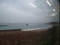  dscf0199.jpg 