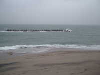  dscf0200.jpg 