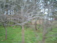  dscf0204.jpg 