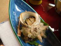  dscf0246.jpg 