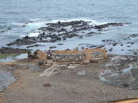  dscf0262.jpg 