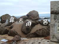  dscf0271.jpg 