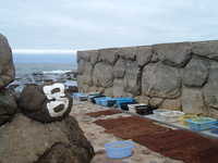  dscf0273.jpg 