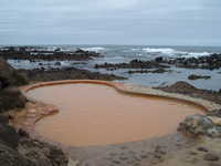  dscf0274.jpg 
