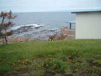  dscf0282.jpg 