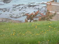  dscf0283.jpg 