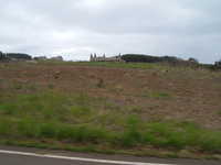  dscf0302.jpg 
