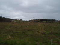  dscf0303.jpg 