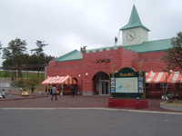  dscf0306.jpg 