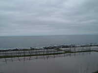  dscf0320.jpg 