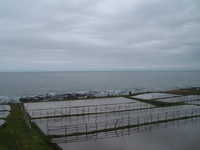  dscf0321.jpg 