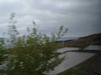  dscf0322.jpg 