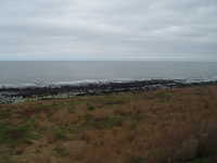  dscf0323.jpg 