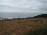  dscf0324.jpg 