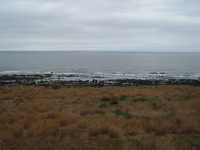  dscf0325.jpg 