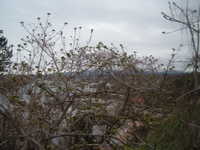  dscf0326.jpg 